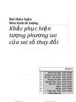 Bài thảo luận kinh tế lượng NEU   khắc phục hiện tượng phương sai của sai số thay đổi