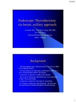 Tài liệu Hội thảo Quốc tế về Nội soi và Phẫu thuật nội soi