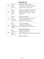 Giáo án các môn học lớp 4 - Tuần 33 năm 2010