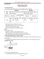 đề cương ôn tập các môn khối 6 lần 2