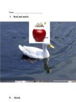 Đề kiểm tra từ vựng tiếng anh lớp 2