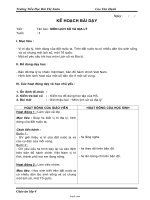 Giáo án Lịch sử 4 - Trường Tiểu Học Bùi Thị Xuân