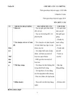 Giáo án tuàn 29 nhánh 4 vườn rau của bé năm học 2017 2018