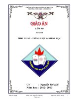 Giáo án Môn Toán - Tiếng việt & Khoa Học - Tuần 10