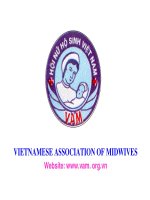 Hội nữ sinh Việt Nam_Tiếng Anh