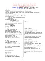 Giáo án các môn lớp 2 - Tuần 10 năm 2013