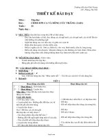 Giáo án lớp 2 môn Tập đọc - Trường tiểu học Vĩnh Ngọc - Bài: Chim sơn ca và bông cúc trắng (2 tiết)