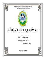 KẾ HOẠCH GIÁO DỤC THÁNG 12 NĂM HỌC 2019-2020 KHỐI MẪU GIÁO BÉ