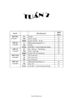 Giáo án các môn học lớp 1 - Tuần 7 năm 2009