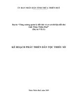 Dự án “Tăng cường quản lý đất đai và cơ sở dữ liệu đất đaitỉnh Thừa Thiên Huế”(Dự án VILG)KẾ HOẠCH PHÁT TRIỂN DÂN TỘC THIỂU SỐ