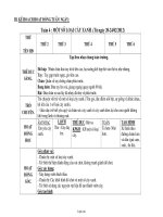 Kế hoạch hoạt động tuần 4: Một số loại cây xanh