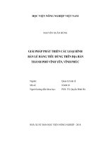 Giải pháp phát triển các loại hình bán lẻ hàng tiêu dùng trên địa bàn thành phố vĩnh yên, vĩnh phúc   