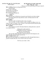 Đề thi khảo sát học sinh giỏi môn: Tiếng Việt lớp 4