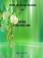 Giáo án Tập đọc: Kì diệu rừng xanh