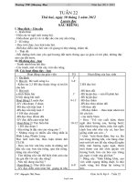 Giáo án Hình 10 cơ bản tiết 27, 28: Ôn tập chương II