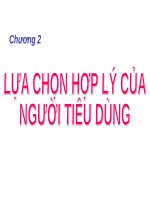LỰA CHỌN hợp lý của NGƯỜI TIÊU DÙNG (KINH tế VI mô SLIDE) (chữ biến dạng do slide dùng font VNI times, tải về xem bình thường) 