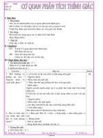 Thiết kế giáo án môn Sinh học 8 - Tiết 53: Cơ quan phân tích thính giác