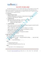 Nguyên tố hóa học (Có bài tập áp dụng)