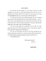 (Luận văn thạc sĩ file word) Nghiên cứu ảnh hưởng của lực động đất đến kết cấu đường hầm dẫn nước của trạm thủy điện