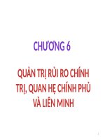 QUẢN TRỊ rủi RO CHÍNH TRỊ, QUAN hệ CHÍNH PHỦ và LIÊN MINH (QUẢN TRỊ đa văn hóa và XUYÊN QUỐC GIA SLIDE) 