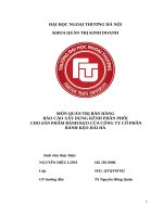 BÁO CÁO XÂY DỰNG KÊNH PHÂN PHỐI  CHO SẢN PHẨM BÁNH KẸO CỦA CÔNG TY CỔ PHẦN BÁNH KẸO HẢI HÀ