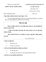 Đề thi giữa học kì 2 môn Tiếng Việt lớp 1 năm 2019-2020 - Trường Tiểu học Chương Dương