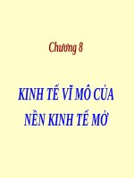 KINH tế vĩ mô của nền KINH tế mở (KINH tế vĩ mô SLIDE) 