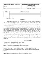 Đề thi giữa học kì 2 môn Tiếng Việt lớp 4 năm 2019-2020 có đáp án - Trường Tiểu học  số 2 Hoài Tân