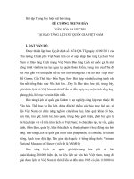 ĐỀ CƯƠNG TRƯNG BÀY VĂN HÓA SA HUỲNH  TẠI BẢO TÀNG LỊCH SỬ QUỐC GIA VIỆT NAM