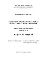 Nghiên cứu phương pháp bảo quản ngô hạt bằng chế phẩm sinh học 