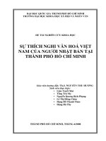 Sự thích nghi văn hóa việt nam của người nhật bản tại thành phố hồ chí minh 