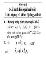 Mô hình hồi qui hai biến ước lượng và kiểm định giả thiết (KINH tế LƯỢNG SLIDE) 