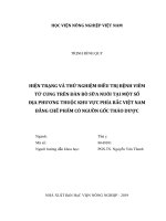 Hiện trạng và thử nghiệm điều trị bệnh viêm tử cung trên đàn bò sữa nuôi tại một số địa phương thuộc khu vực phía bắc việt nam bằng chế phẩm có nguồn gốc thảo dược   