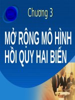 MỞ RỘNG mô HÌNH hồi QUY HAI BIẾN (KINH tế LƯỢNG SLIDE) (chữ biến dạng do slide dùng font VNI times, tải về xem bình thường) 
