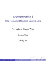 Panel Data Econometrics