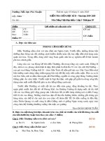 Đề thi giữa học kì 2 môn Tiếng Việt lớp 5 năm 2019-2020 có đáp án - Trường Tiểu học Phú Nhuận