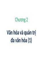 Văn hóa và quản trị đa văn hóa (PHẦN 1) (QUẢN TRỊ đa văn hóa và XUYÊN QUỐC GIA SLIDE) 
