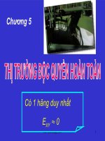 THỊ TRƯỜNG độc QUYỀN HOÀN TOÀN (KINH tế VI mô SLIDE) (chữ biến dạng do slide dùng font VNI times, tải về xem bình thường) 