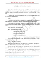 Chủ điểm: Trên đôi cánh ước mơ - Cảm thụ văn học lớp 4