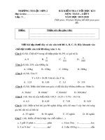 Đề thi học kì 1 môn Toán lớp 5 năm 2019-2020 có đáp án - Trường Tiểu học Lộc Sơn 2