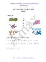 Bài tập bổ trợ và nâng cao số 08 - Bài tập Tiếng Anh 5