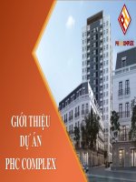 Poliland  thuyết trình dự án PHC Complex 158 Nguyễn Sơn