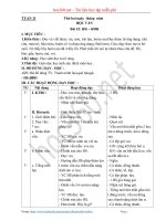 Hướng dẫn soạn Giáo án Học vần lớp 1 - Tuần 11