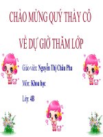 kkcó tính chất gì?