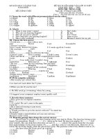 PHIM TƯ LIỆU TÂY NINH - PHẦN II