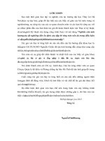 (Luận văn thạc sĩ file word) Nghiên cứu ảnh hưởng của độ nghiêng đến ổn định của đập bê tông trên nền đá trong điều kiện có động đất và biện pháp xử lý để đảm bảo an toàn đập