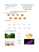 Đề kiểm tra học kỳ Tiếng Việt Lớp 1