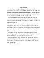 (Luận văn thạc sĩ file word) Nghiên cứu ổn định đập vật liệu địa phương trong đầu mối thủy điện tích năng