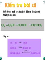 Bài 47. Chất béo