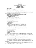Giáo án tuần 20 buổi sáng